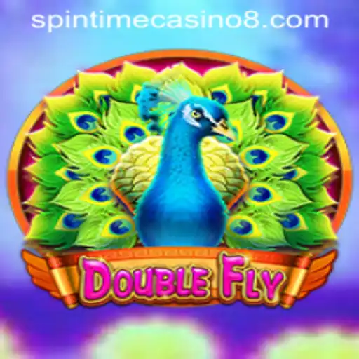 Exploring DoubleFly and its Connection to Spintime Casino